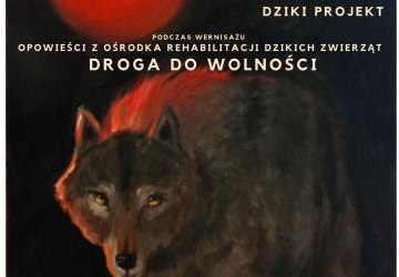 Zaproszenie na wystawę. W tle jedna z prac - portret wilka.