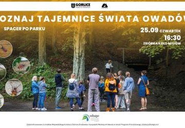 Spacer „Dzikie jest piękne” w Parku Miejskim