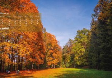 Ustaw Miasto Światła na swoją tapetę (październik 2025)