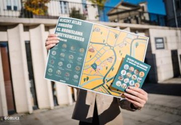 „Uliczny atlas owadów” – mapki i naklejki już dostępne!