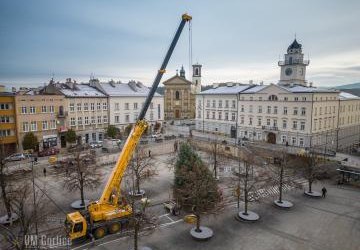 Choinka na gorlickim Rynku.