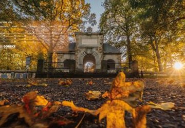 Ustaw Miasto Światła na swoją tapetę (listopad 2025)