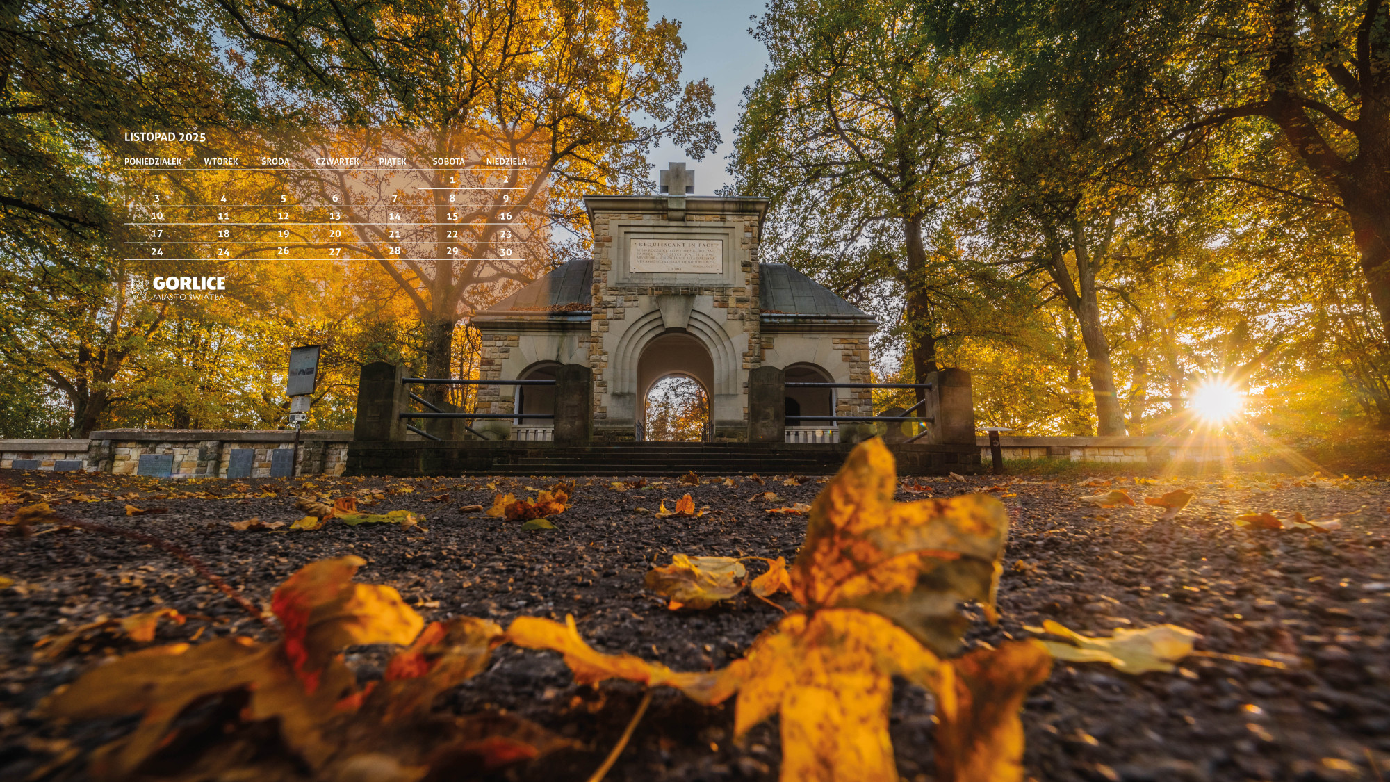 Ustaw Miasto Światła na swoją tapetę (listopad 2025)