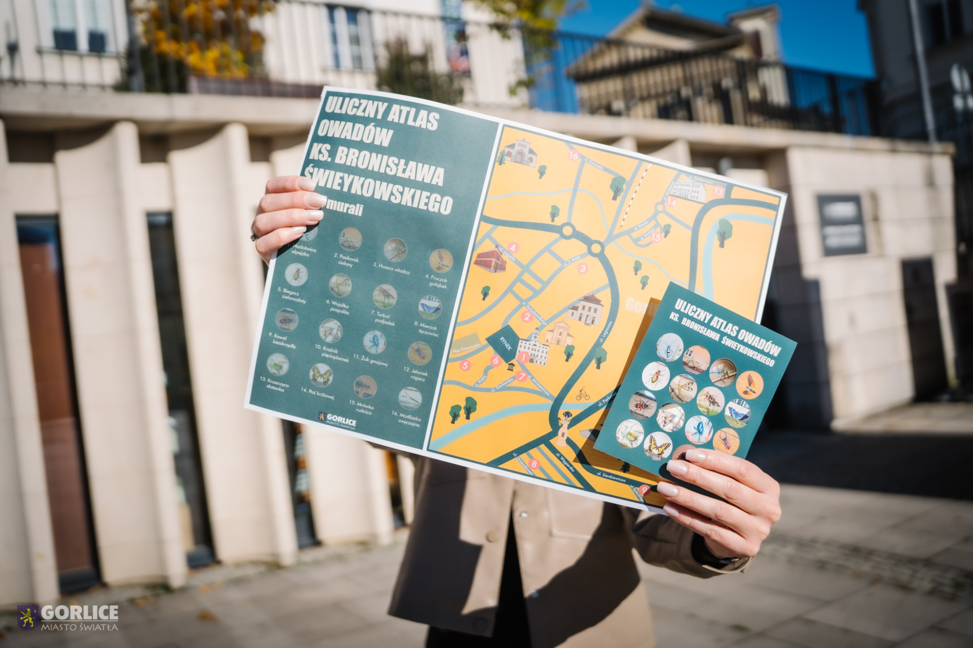 Osoba trzema w ręku mapę owadów.