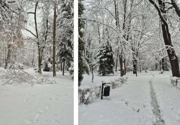 Uwaga — ciężki śnieg może być niebezpieczny