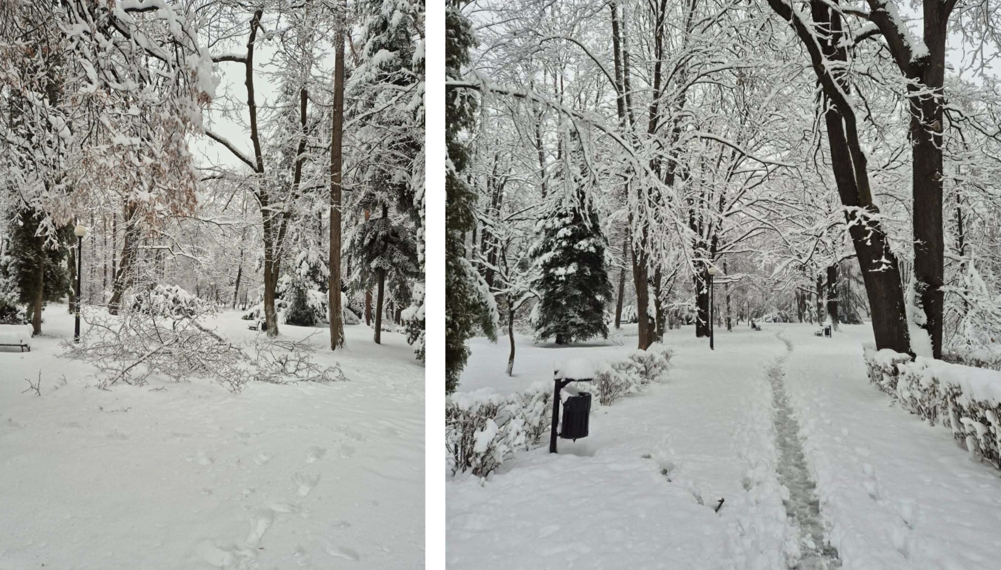 Uwaga — ciężki śnieg może być niebezpieczny