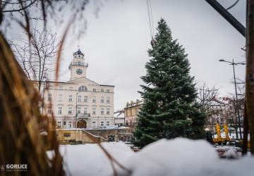 Stoi na Rynku choinka zielona!