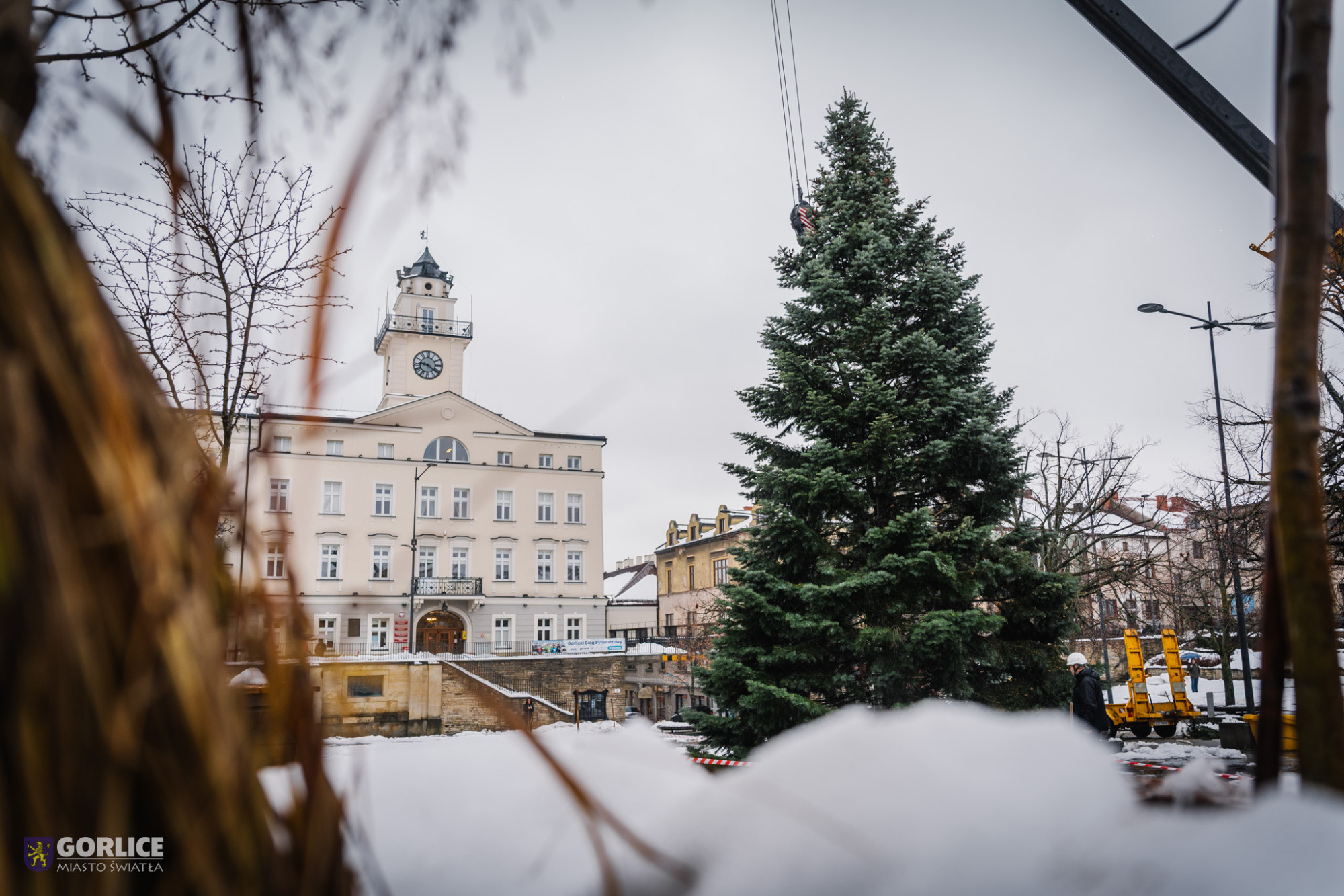 Choinka na gorlickim Rynku.