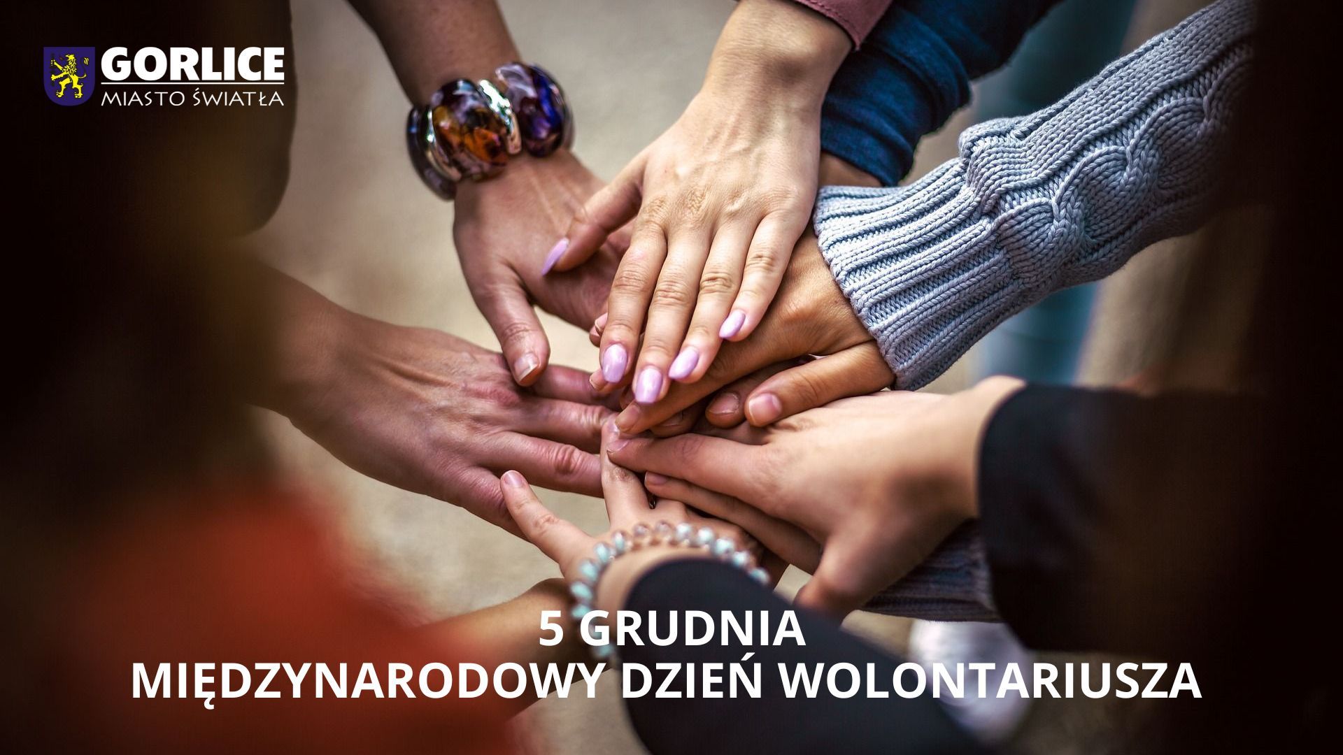 Ręce w okręgu, na pierwszym planie logo Gorlic i napis Miedzynarodowy Dzień Wolontariusza.