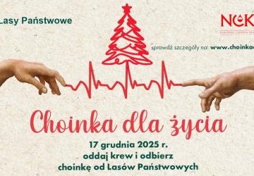 Choinka dla życia