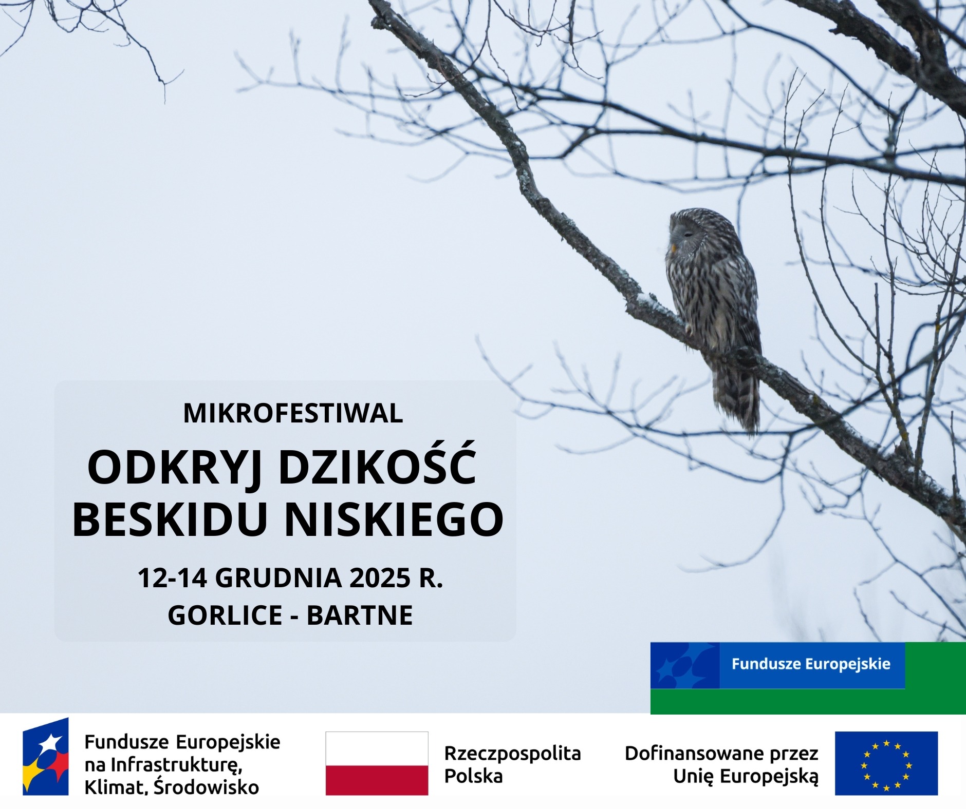 Poznaj dzikość Beskidu Niskiego!