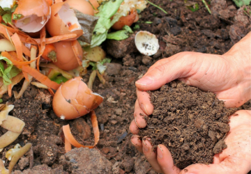 Nabór wstępnych deklaracji na domowe kompostowniki