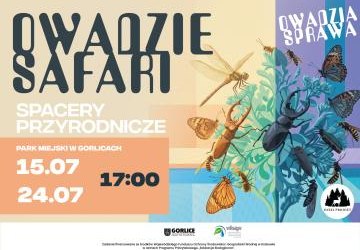 Zapraszamy na owadzie spacery!