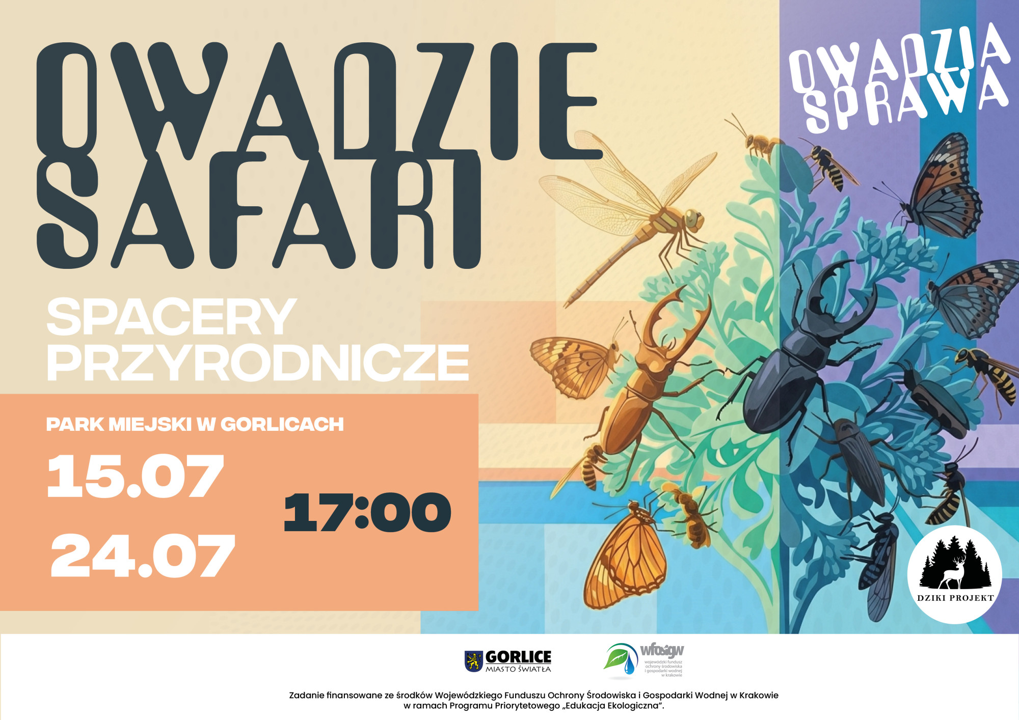 Zapraszamy na owadzie spacery!