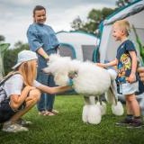 Krajowa Wystawa Psów Rasowych w Gorlicach