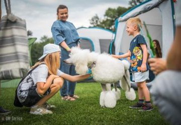 Krajowa Wystawa Psów Rasowych w Gorlicach