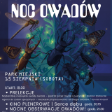 Gorlicka Noc Owadów – kino pod gwiazdami, nocne obserwacje przyrody i ciekawe opowieści