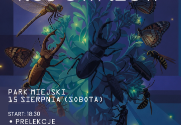 Gorlicka Noc Owadów – kino pod gwiazdami, nocne obserwacje przyrody i ciekawe opowieści