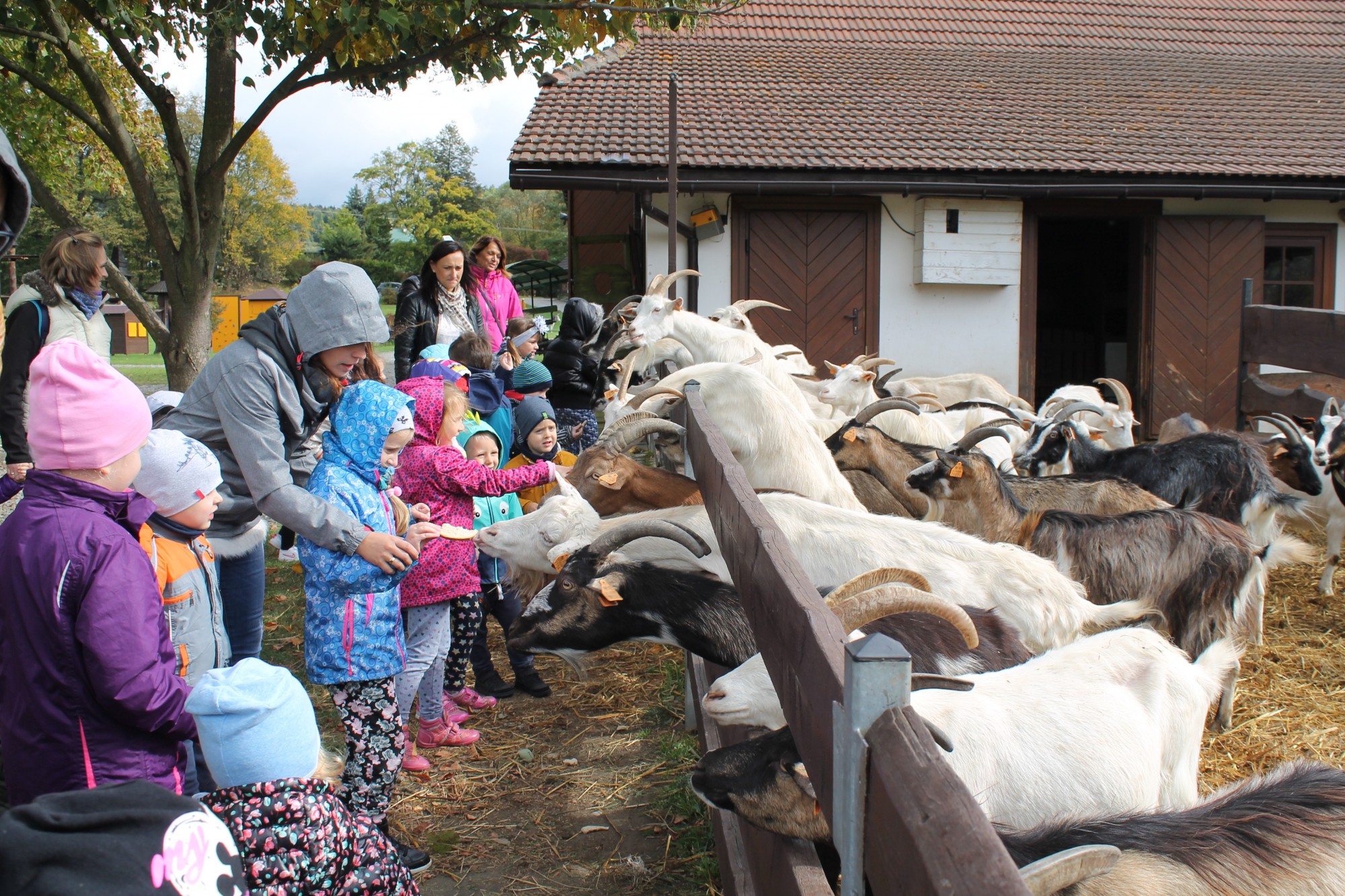 Skrzaty w „Królestwie pszczół”