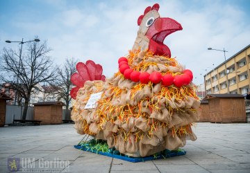 Wielkanocna kurka stanęła na gorlickim Rynku!