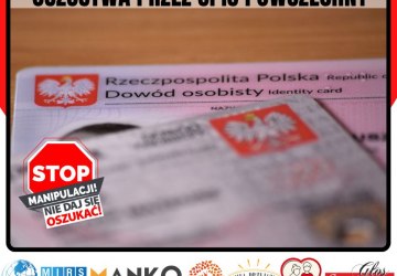 Oszustwa przez spis powszechny