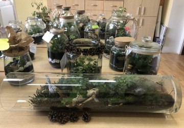 Szkolny Konkurs Biologiczny pod hasłem „Las w słoiku” w Miejskim Zespole Szkół nr 3 w Gorlicach