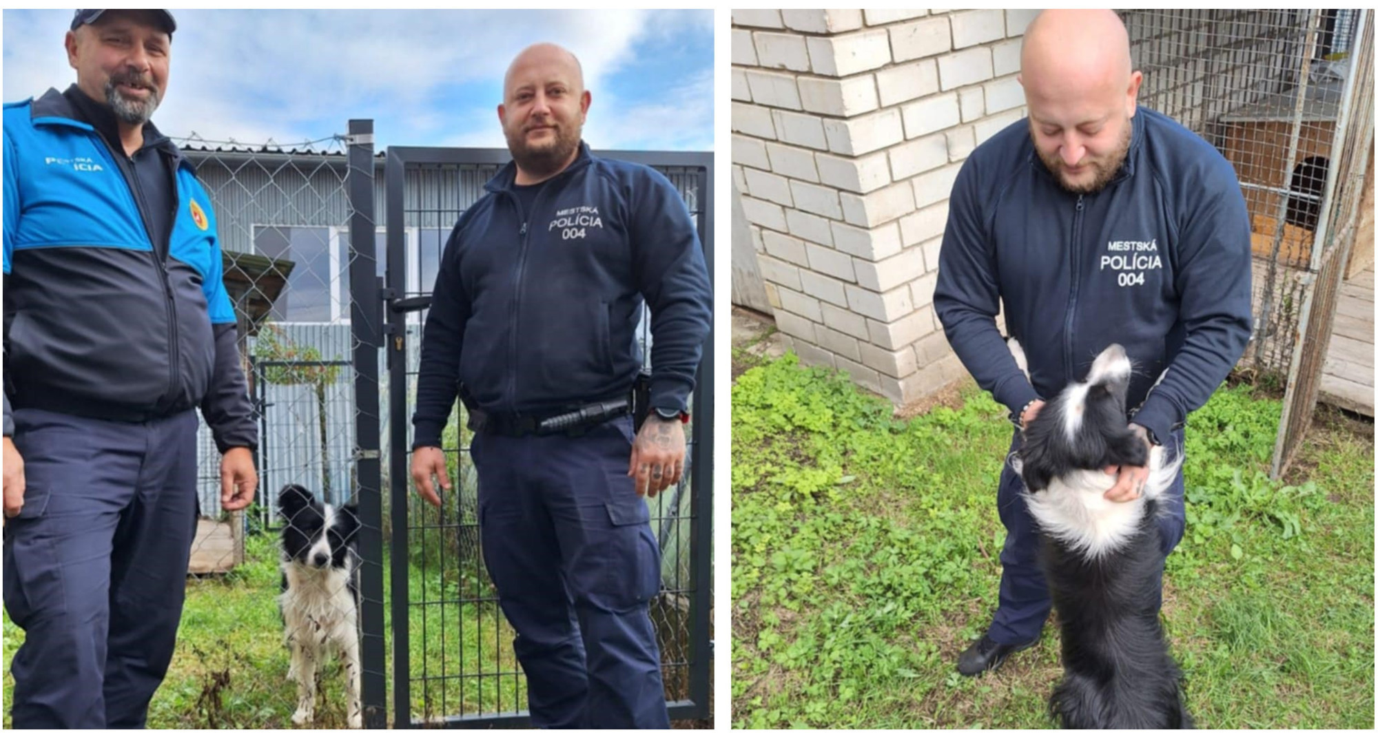 Pies z Gorlic odnalazł się… na Słowacji! Niecodzienna akcja strażników miejskich