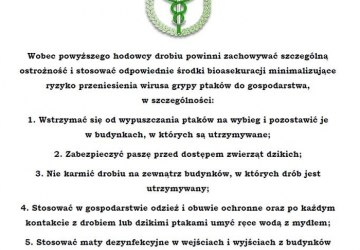 Uwaga! Ptasia grypa!
