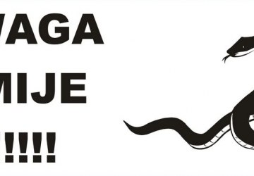 Uwaga na żmije!