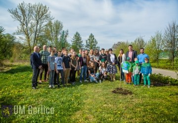 Posadzili papieskie dęby!