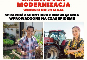 Mała i duża modernizacja