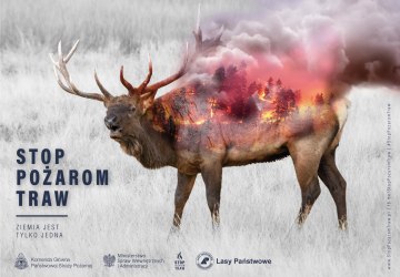 STOP pożarom traw!