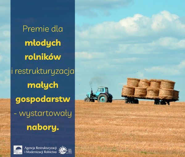 Premie dla młodych rolników i restrukturyzacja małych gospodarstw – wystartowały nabory
