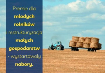 Premie dla młodych rolników i restrukturyzacja małych gospodarstw – wystartowały nabory