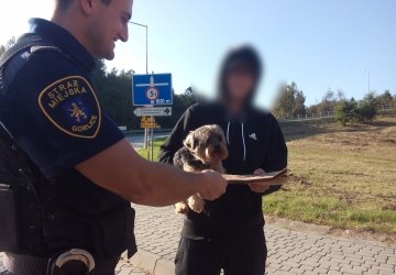 Zadbaj o swojego pupila!