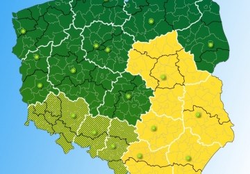 Ostrzeżenie przed silną mgłą!