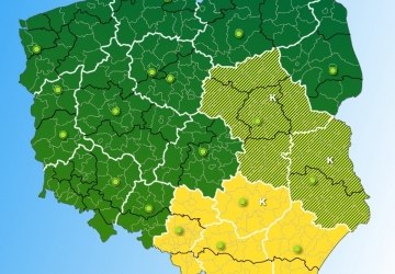 Uwaga! Będzie ślisko!