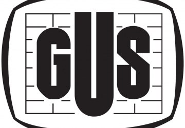 Badania ankietowe GUS w 2019 r.