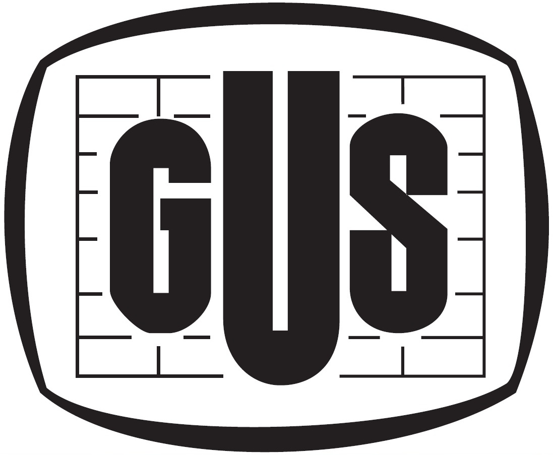 Badania ankietowe GUS w 2019 r.