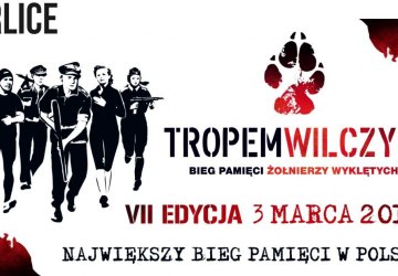 Bieg „Tropem Wilczym”