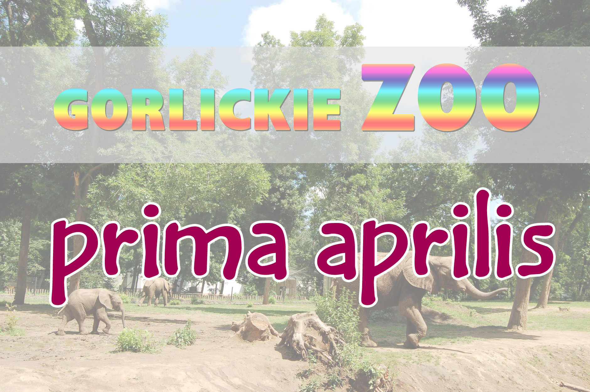 ZOO nie będzie, ale trzymamy kciuki za geotermię!