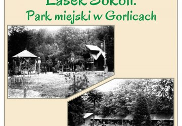 Lasek Sokoli. Park Miejski w Gorlicach.