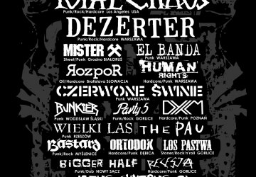 D.I.Y Punx Fest w Zdyni