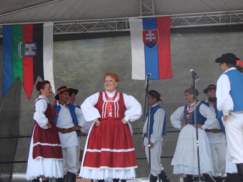 Gościnne występy 