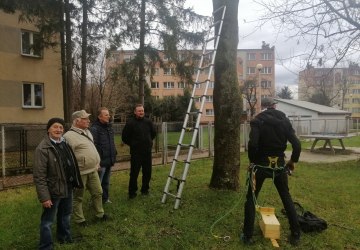 Klub Seniora pomaga i chroni populację ptaków w Gorlicach