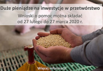Duże pieniądze na duże przetwórstwo