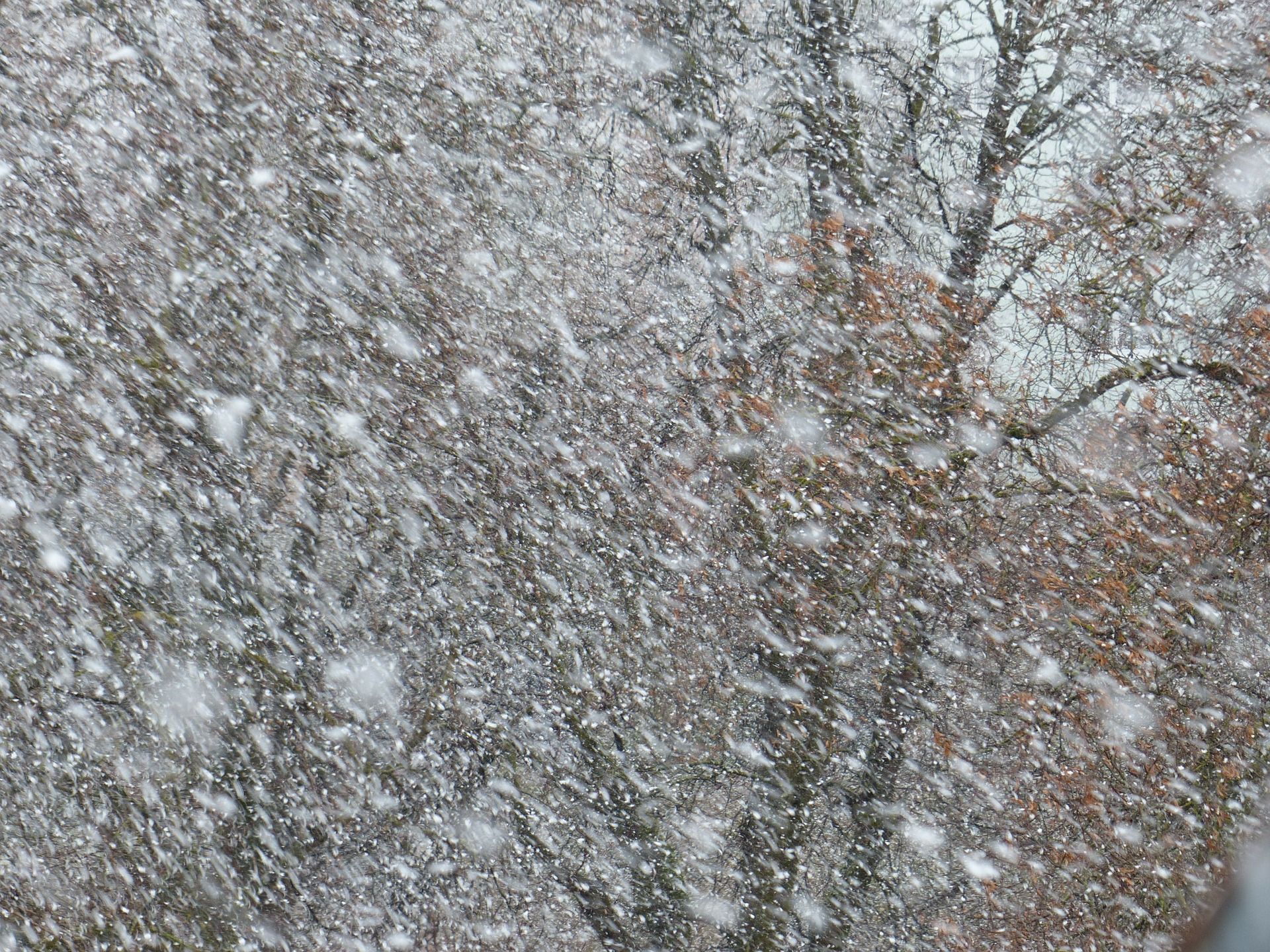 Ostrzeżenia meteorologiczne