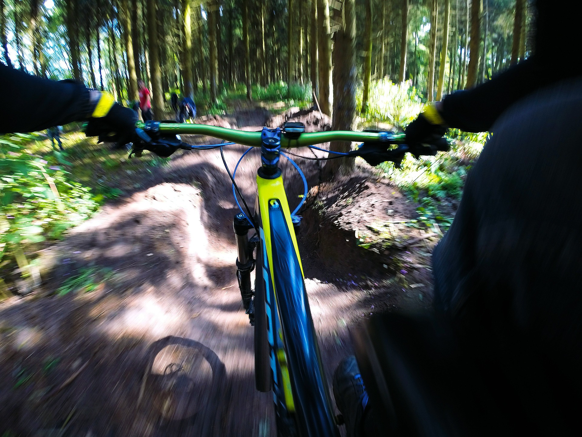 Fakty w sprawie projektu budowy singletracka
