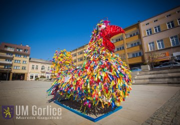Pleciona kura ozdobiła gorlicki Rynek