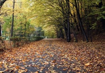 Rewitalizacja Parku Miejskiego coraz bliżej